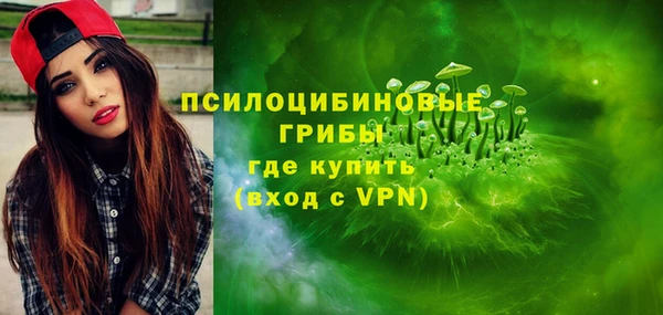 прущие грибы Верхнеуральск