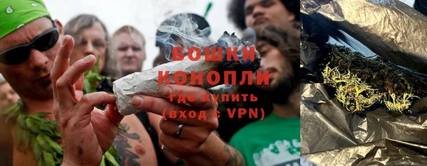 прущие грибы Верхнеуральск