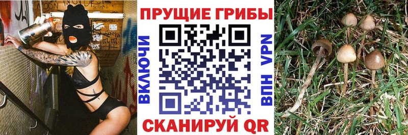 Псилоцибиновые грибы MAGIC MUSHROOMS  Купить где  Монино 